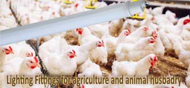 Lighting fittings for agriculture and animal husbandry by Schuch Germany